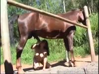 Big horse dick got inserted to a curvy lady's ass